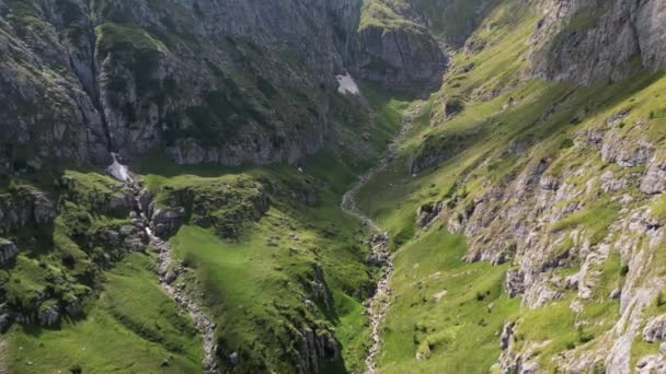 从空中俯瞰陡峭岩石之间的绿色山谷 落基山脉上覆盖着绿色的植被 飞越史诗般的高山 喀尔巴阡山脉Bucegi自然公园Valea Caldarilor河 — 图库视频影像