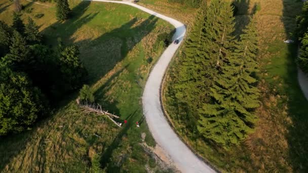 Un drone suivant une voiture conduisant sur une route à travers une forêt d'épinettes avec vue sur les montagnes au coucher du soleil, situé dans les monts Bucegi, Roumanie.