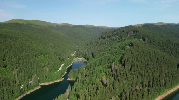 Aéreo Sobre Belo Lago Bolboci Com Água Limpa Romênia Floresta — Vídeo de Stock