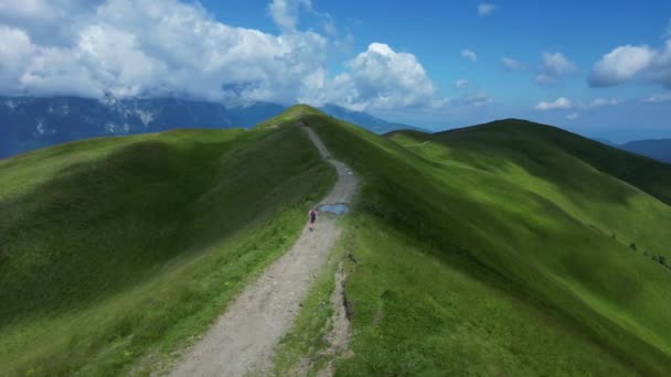 Una Turista Está Haciendo Senderismo Las Montañas Cárpatos Rumania Disfrutando — Vídeos de Stock