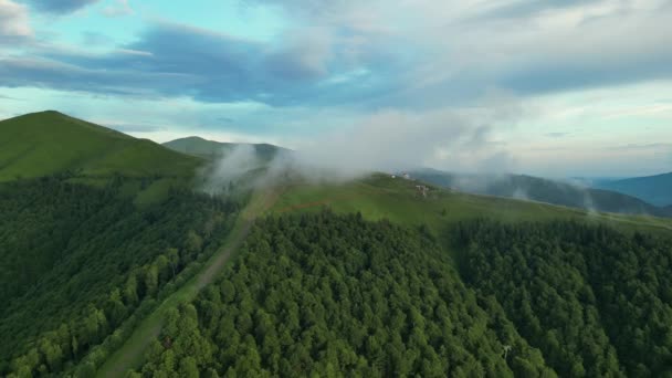 Drone Eye View Πετώντας Πάνω Από Ένα Νεφελώδες Δάσος Ερυθρελάτης — Αρχείο Βίντεο
