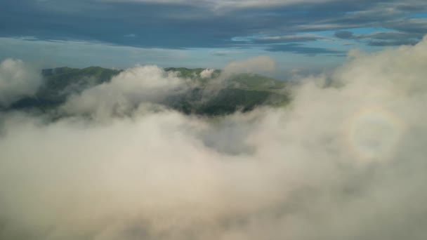穿过云彩 无人机的眼景 在喀尔巴阡山脉云雾缭绕的云杉森林上空飞行 探索喀尔巴阡山荒原 罗马尼亚Bucegi山脉 — 图库视频影像