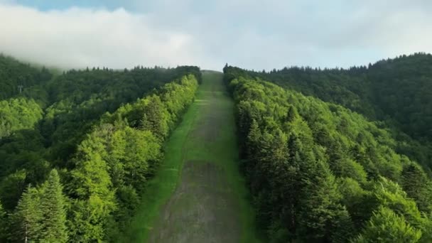 Лыжня Летом Горные Хребты Лесами Горными Лугами Против Облачного Неба — стоковое видео