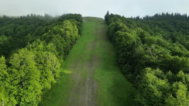 Skipiste Sommer Bergrücken Mit Wäldern Und Bergwiesen Gegen Den Wolkenverhangenen — Stockvideo