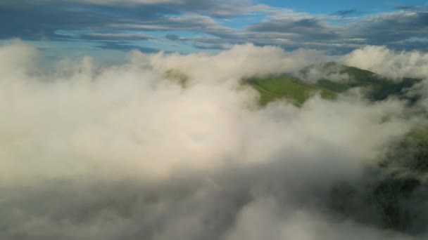 Vuelo Místico Viaje Drone Sobre Bosque Abeto Nublado Las Montañas — Vídeos de Stock
