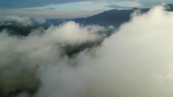 Через Облака Взгляд Дрона Пролетая Над Облачным Лесом Карпатах Изучение — стоковое видео