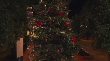 Ana meydanda süslenmiş ve aydınlatılmış bir Noel ağacı duruyor. Noel havası. İHA görüntüleri ağacın etrafında uçuşuyor. Torrevieja, İspanya.