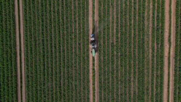 Pulverización Tractores Agrícolas Campo Verde Con Pulverizador Herbicidas Pesticidas Pulverización — Vídeo de stock
