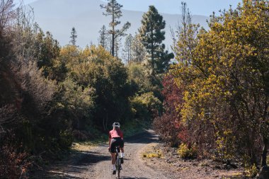 Dişi bir bisikletçi Tenerife Adası 'ndaki bir ormanda manzaralı bir dağ çakıl yolu boyunca gidiyor. Bisikletçi çakıllı yolda pratik yapıyor. Bisiklet sürmek için güzel güneşli bir gün. İspanya.