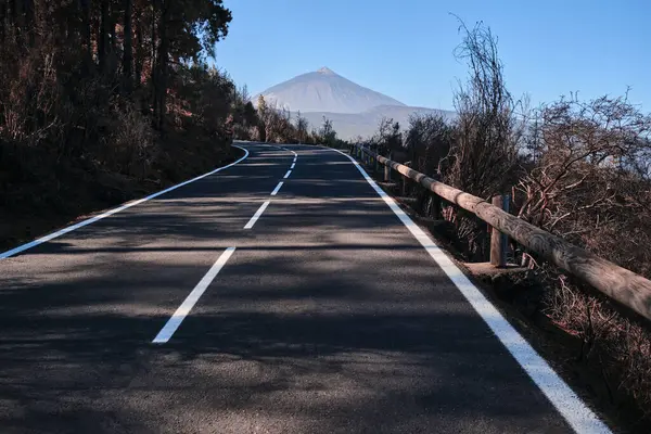 Vägen Går Upp Till Teide Vulkan Genom Bränd Skog Från — Stockfoto