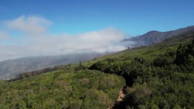 Teide Dağı 'nda La Caldera' nın üzerinde uçan bir hava aracı. Tenerife 'de yanmış orman, Kanarya Adası. Asfalt yolu Tenerife 'deki yanmış bir ormandan geçiyor. İspanya.