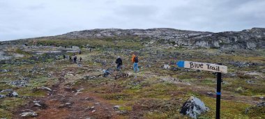 Grönland, Ilussiat yakınlarındaki Ilimanaq, Eceglacier, Disko Körfezi, Discobucht