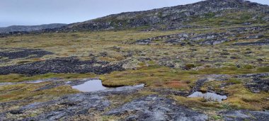 Grönland, Ilussiat yakınlarındaki Ilimanaq, Eceglacier, Disko Körfezi, Discobucht