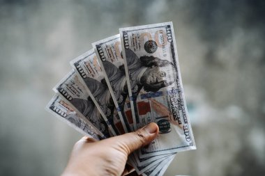 ABD dolarlarını sayan genç erkek eller, doğa arka planında izole edilmiş..