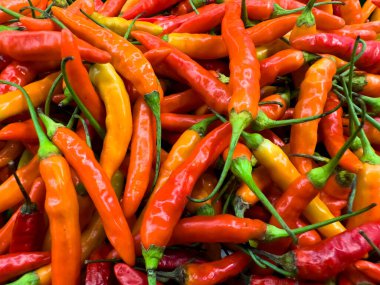 Bir sürü kırmızı biber yığını, kırmızı ve turuncu renkte, sıcak ve taze görünüyor, düz, kuş bakışı fotoğraf.