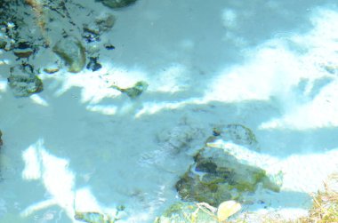 Temiz ve şeffaf nehir suyu