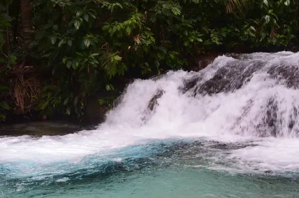 Tocantins, Brezilya 'da ormandaki mavi suyla berrak sıcak şelale