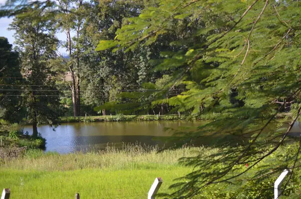 Güzel manzara, küçük gölü ya da barajı olan bir çiftliğin kırsal görüntüsünü gösteriyor.