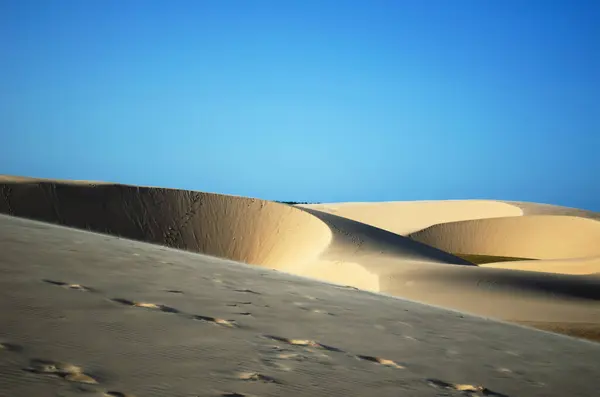 Doğanın güzel manzarası, Brezilya 'nın kuzeydoğusundaki Piau' da mavi gökyüzü olan kumulları gösteriyor. Kum tepelerinde birçok ayak izi görürüz.. 