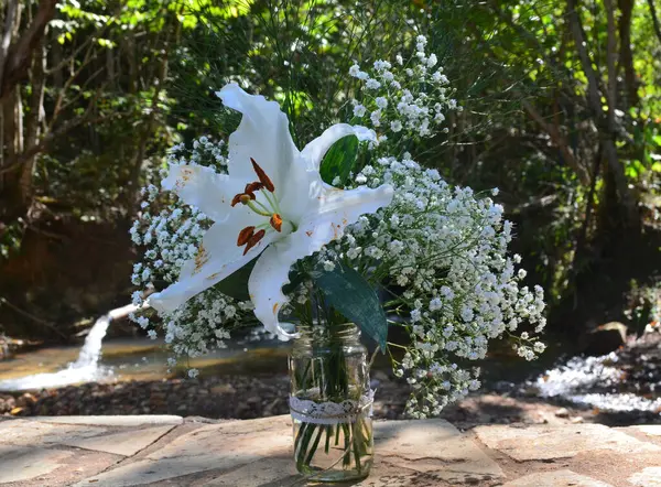 Bahçede beyaz çiçek buketi