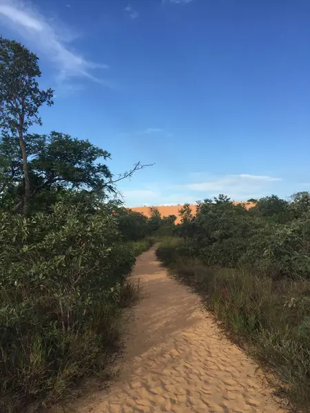 Brezilya Cerrado Ormanı 'ndaki patikada ufukta kum tepesi vardı.