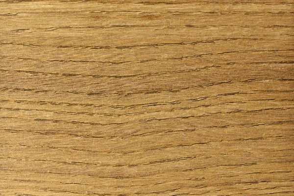 Світлий Дуб Текстура Натурального Дерева Шпалер Реклами — стокове фото