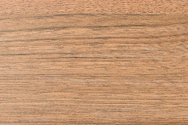 Duvar kağıdı ve reklam için doğal meşe ağacı parçası