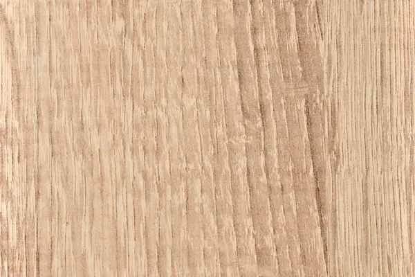 Naturalny Fragment Drewna Dębowego Tapet Reklam — Zdjęcie stockowe