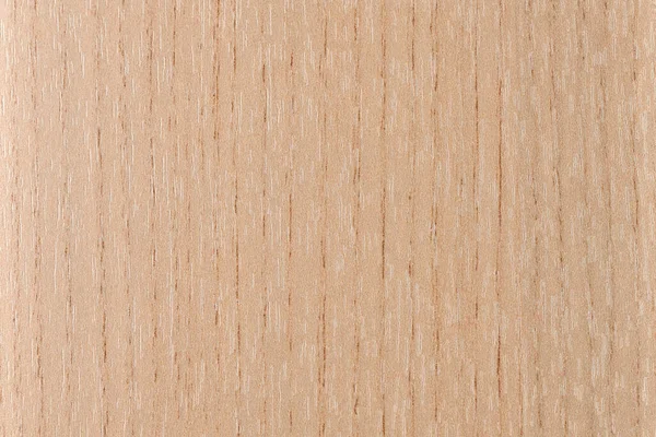 Naturalny Fragment Drewna Bukowego Tapet Reklam — Zdjęcie stockowe