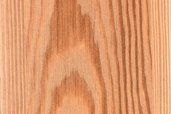 Natural Pine Wood Fragment Wallpaper Advertising — Stock Photo, Image