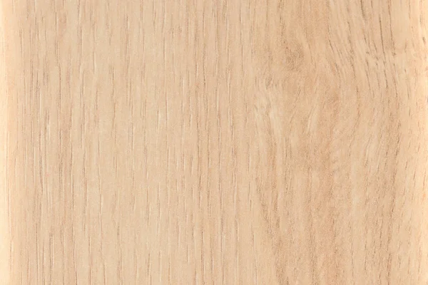 Natürliches Buchenholzfragment Für Tapeten Und Werbung — Stockfoto