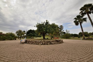 Halka açık bir parkın içinde meşe mantarı.