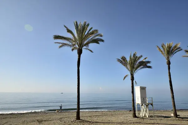 Marbella kumsalı, tropikal palmiye ağaçları ve gözetleme kulesi