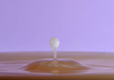 Mor arka planda bir damla süt.