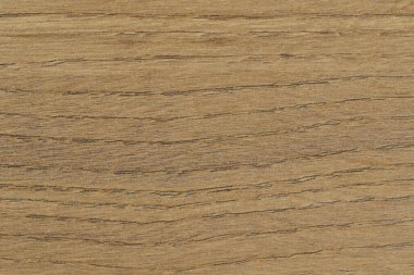 Duvar kağıdı için meşe ağacı tahtası