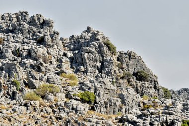 Cartajima dağlarının manzarası Malaga İspanya