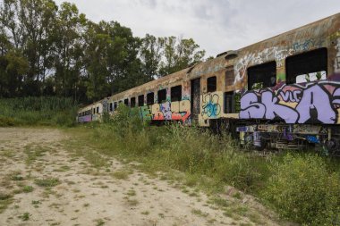 Eski terk edilmiş ve paslı tren bagonları kırsalda