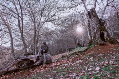 Kestane ormanında bir sonbahar manzarası. Kütüğün üzerinde oturmuş kitap okuyan bir adamla.