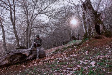 Kestane ormanında bir sonbahar manzarası. Kütüğün üzerinde oturmuş kitap okuyan bir adamla.