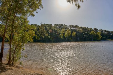  göl ve orman kışın                              