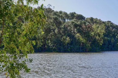  göl ve orman kışın                              