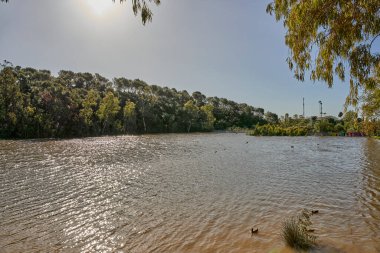  göl ve orman kışın                              