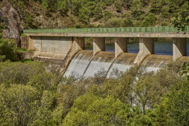 Baraj yağmurdan sonra boşalıyor                             