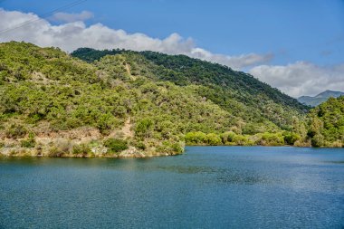  göl ve orman kışın                              