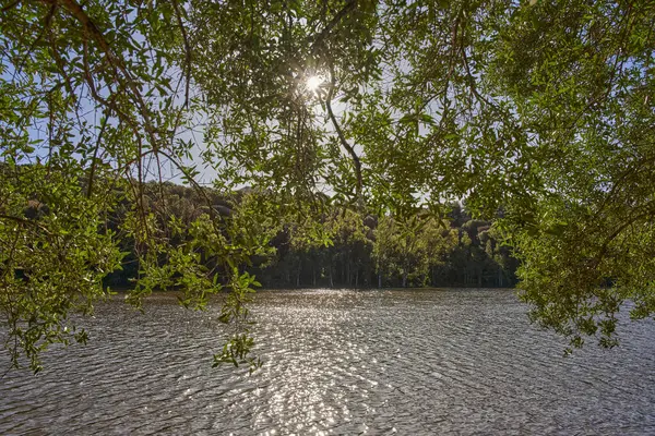  göl ve orman kışın                              