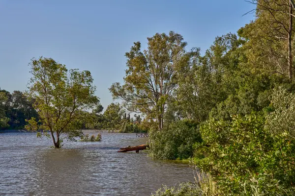  göl ve orman kışın                              
