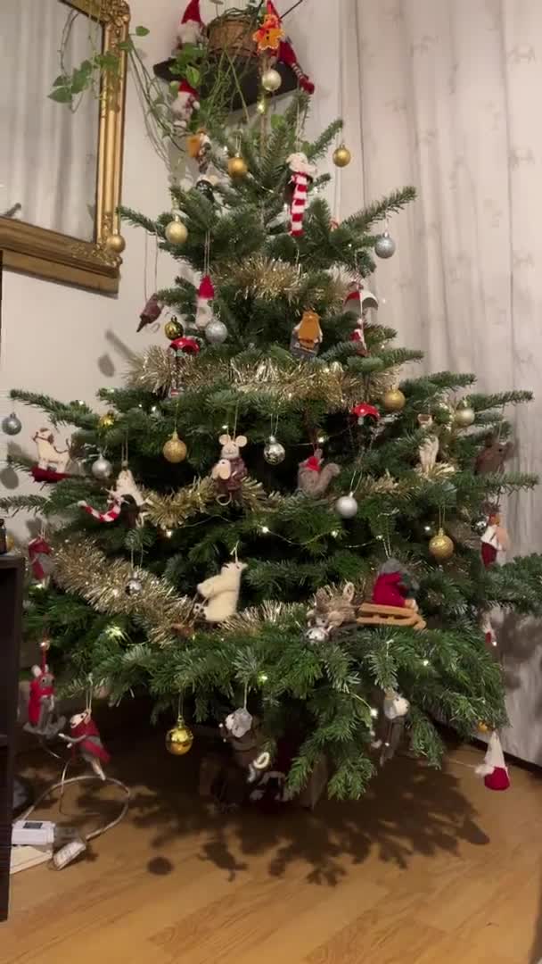Árvore Natal Decorada Dentro Casa Apartamento Com Grinaldas Prata Ouro — Vídeo de Stock
