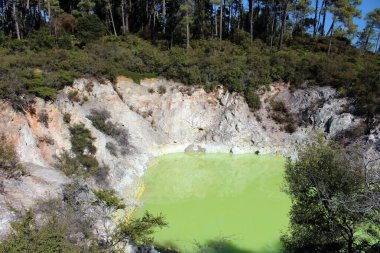 Şeytan Hamamı bir kraterdir. Suyun rengi sülfür bileşiğidir. Waiotapu Termal Harikalar Diyarı, Rotorua, Kuzey Adası, Yeni Zelanda.