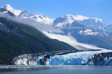 Harvard Buzulu, Alaska 'nın Prens William Boğazı' ndaki büyük bir gelgit suyu buzuludur.