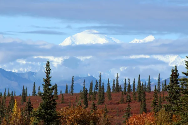 Alaska Autumn Landscape Denali National Park Background Mount Denali Formerly — Stock Photo, Image